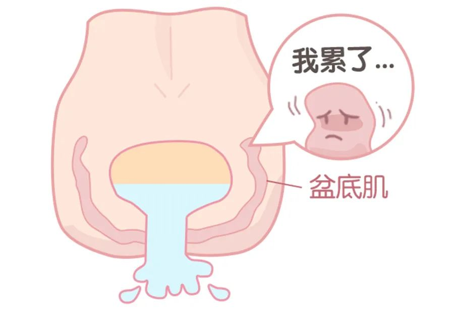 微信图片_20250602092343.png