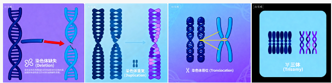 QQ20251119-100836.jpg QQ20251119-100836.jpg