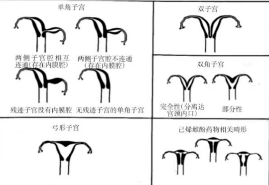 QQ20251126-092240.jpg